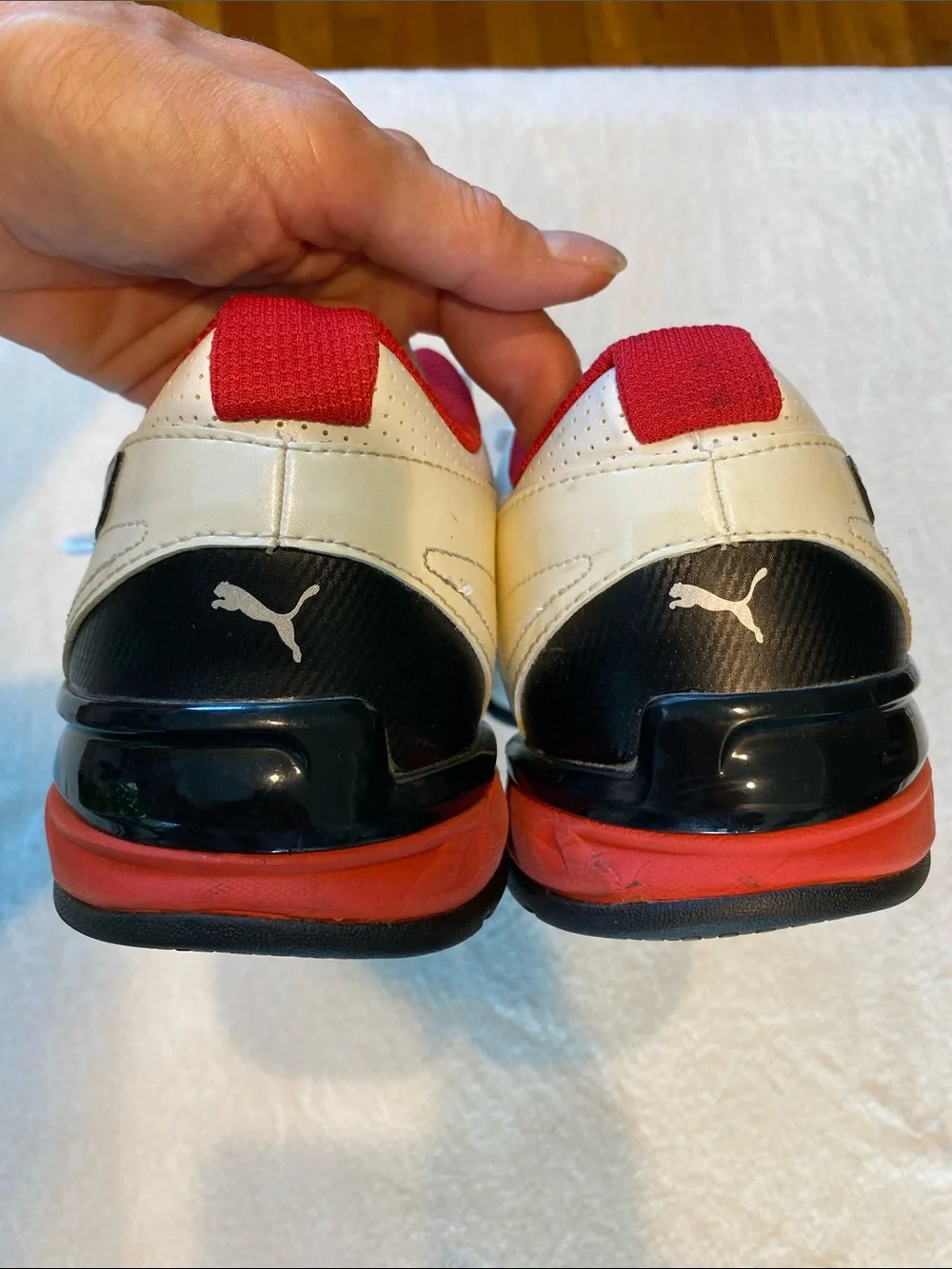 Puma tazon fm